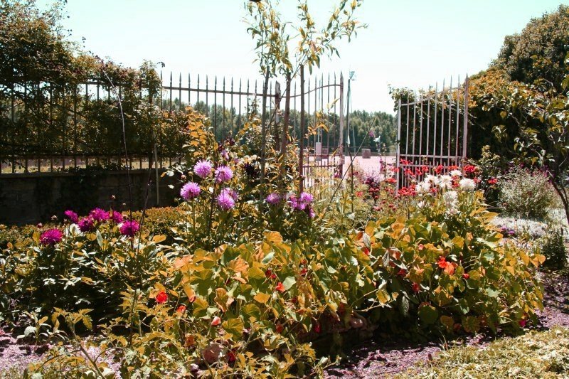 jardin